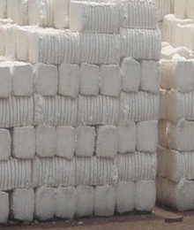 Cotton for Industrial Input